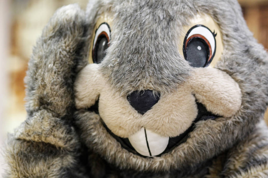 The Woodstock Independent Groundhog Day