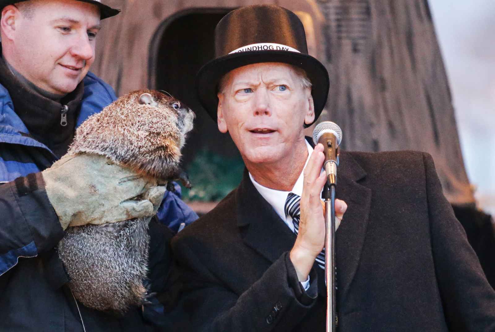 groundhog day woodstock groundhog day 2016 groundhog day woodstock groundhog day 2016