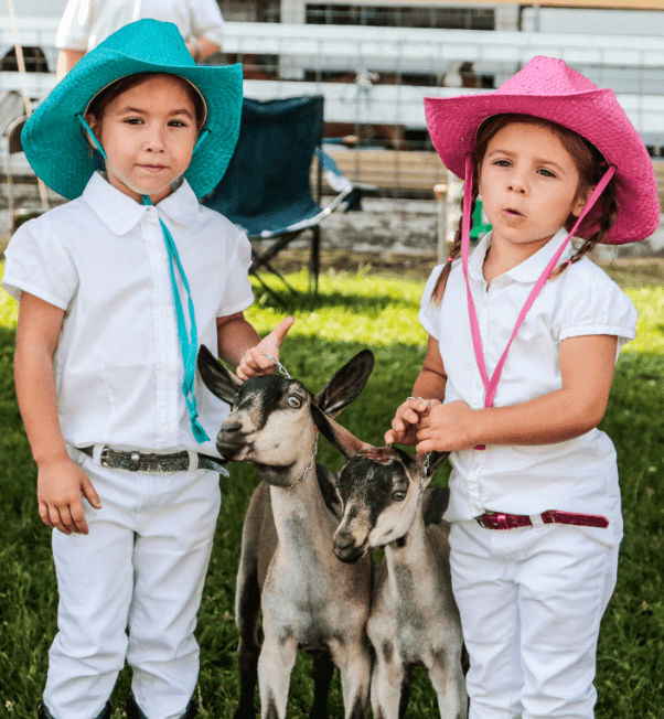 McHenry County Fair Board Aiming for 100,000 Attendance Goal - The