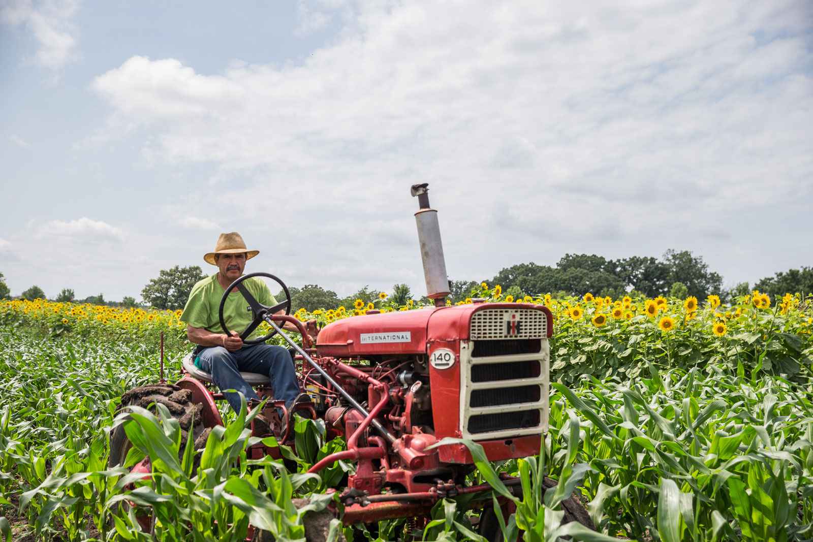 farm-to-table at woodstock restaurant - the woodstock independent farm-to-table at woodstock restaurant - the woodstock independent