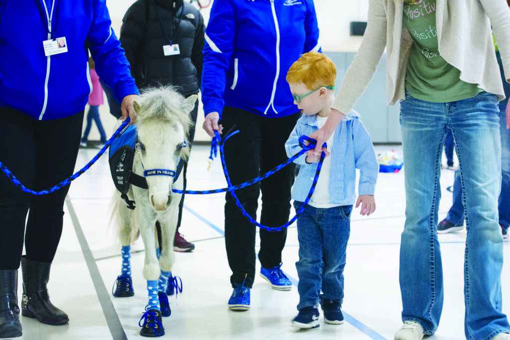 Mane in Heaven Miniature Therapy Horses