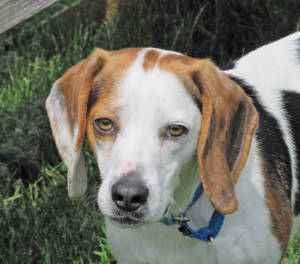 Schroeder head shot 5-18