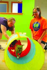 Woodstock Canine Clubhouse