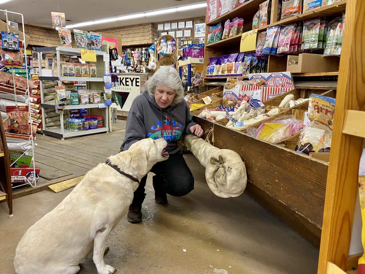 jesse's pet & feed store