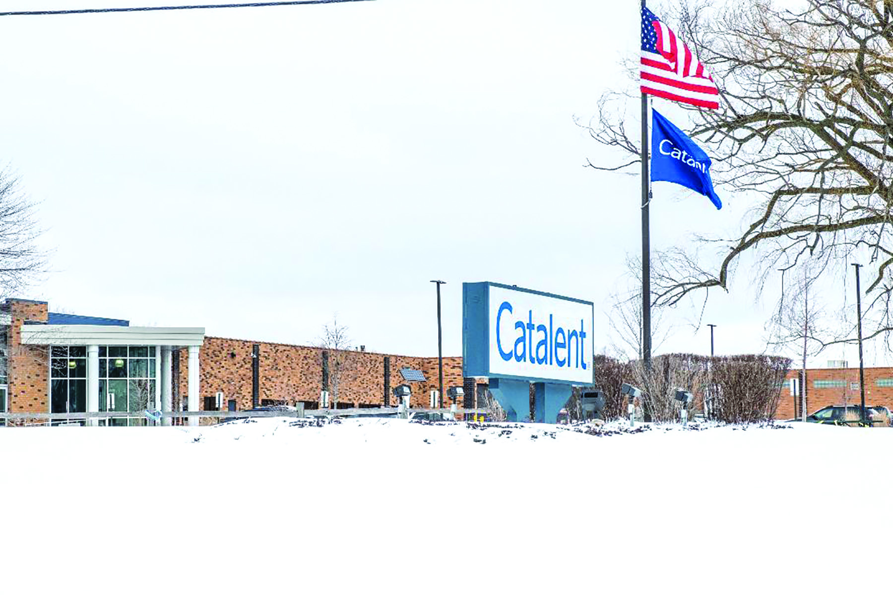 Catalent sells its Woodstock operations The Woodstock Independent