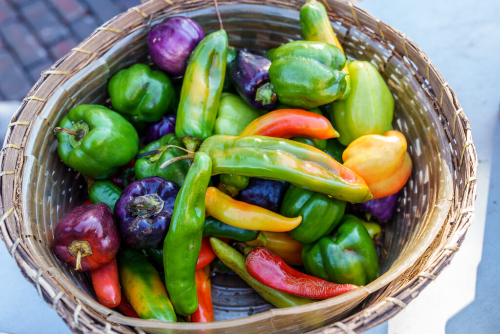 Bunker hill Organic Farms & Purewater Aquaponics, Marengo.