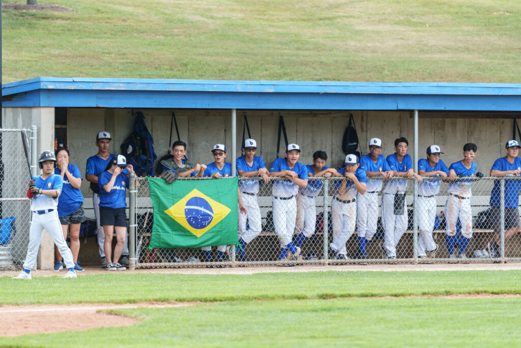 Brazil dugout