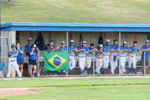 Brazil dugout