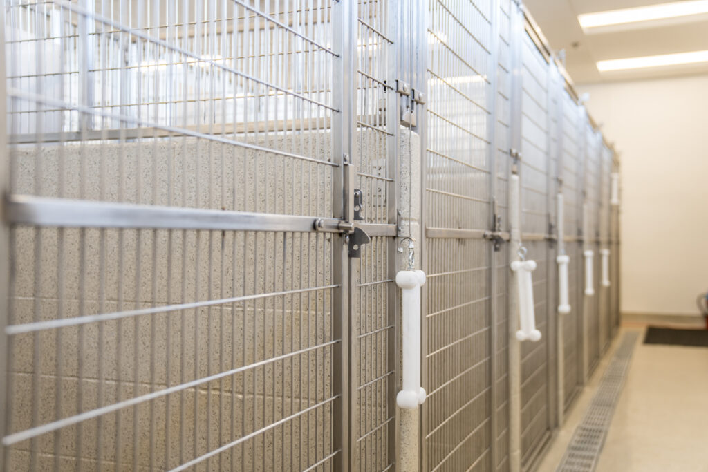 dog bone pulls on the ropes to open the cages