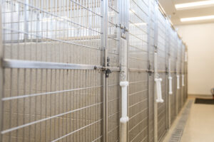 dog bone pulls on the ropes to open the cages