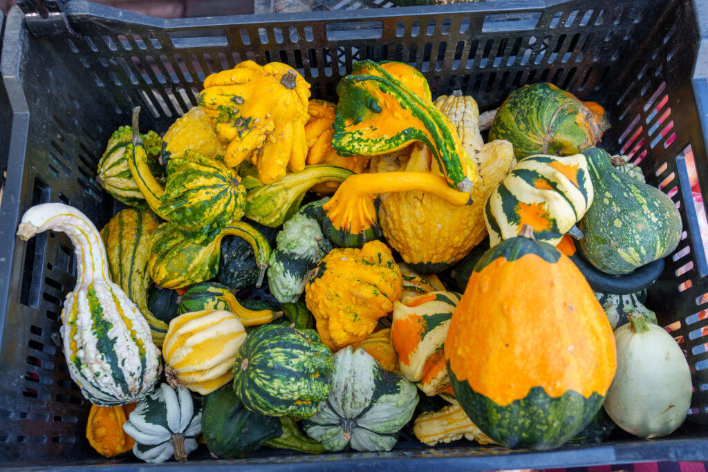 Broadview Farm and Gardens